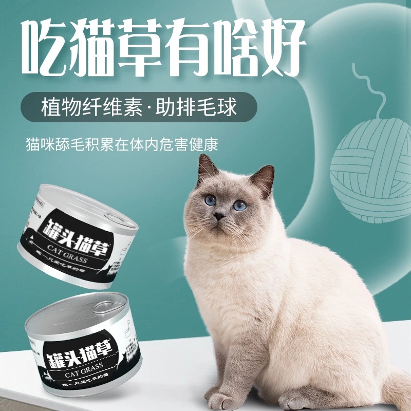 貓草種子罐頭貓草OEM/ODM定制代加工