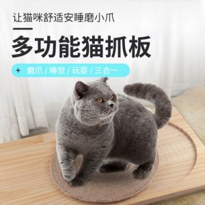 吸盤式貓盆OEM代加工