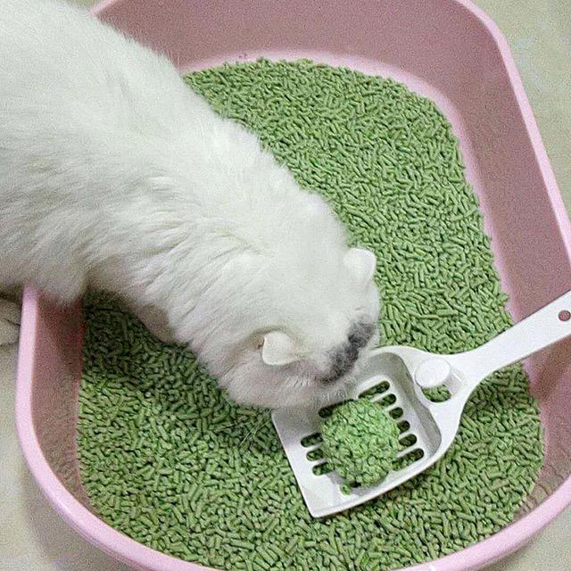 山東瑞創寵物食品有限公司