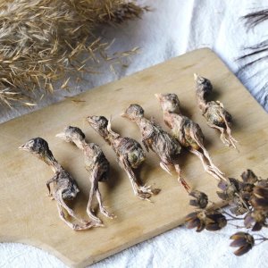 日照貝納寵物食品有限公司