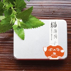 貓薄荷茶包鐵盒裝貼牌定制代加工