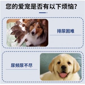 貓咪狗狗保健品OEM代加工