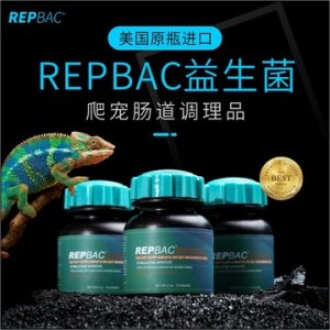 美國多戈REP BAC爬蟲腸胃調理益生菌貼牌定制代加工