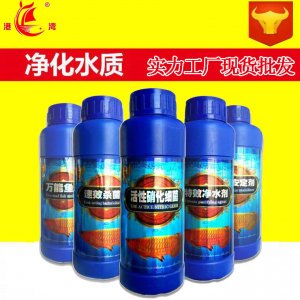 印尼海水硝化細菌觀賞魚500ml