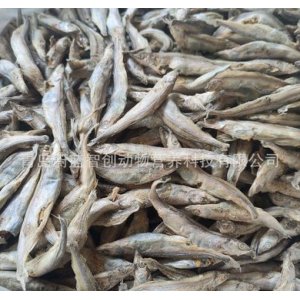 寵物凍干多春魚(yú)零食