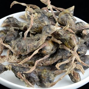 小鵪鶉凍干寵物貓咪零食