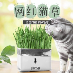 調理腸胃貓零食