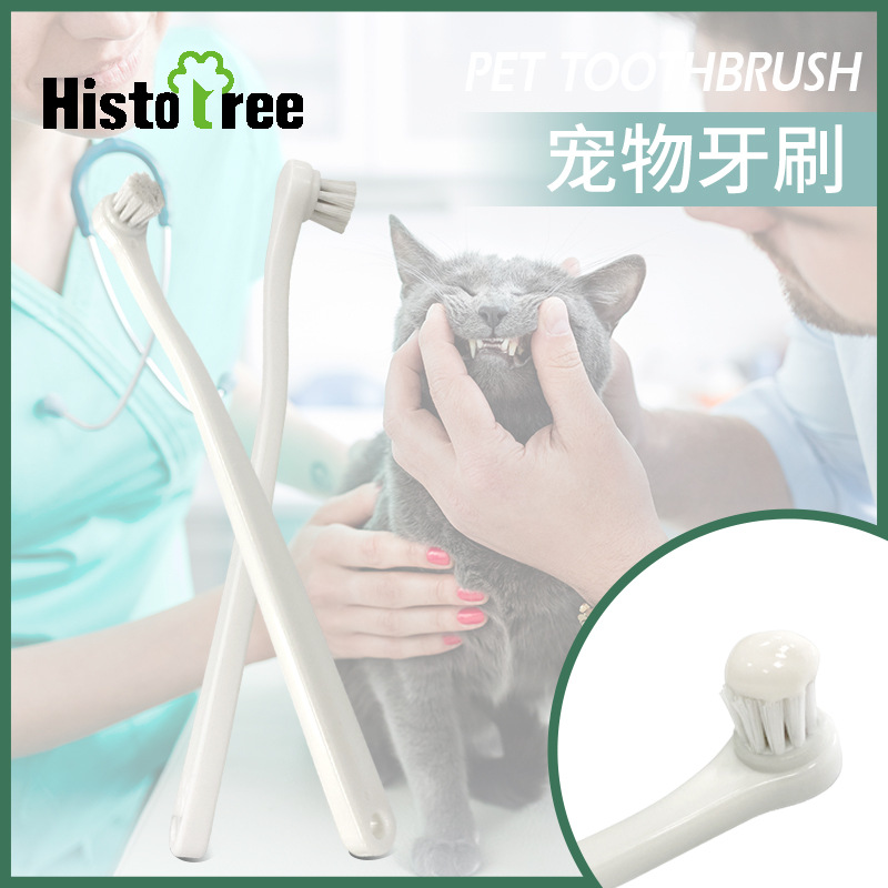 Histotree寵物牙刷貓咪16.6*1.7cm
