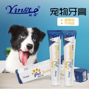 穎特狗狗清潔美容工具貓咪口腔清潔