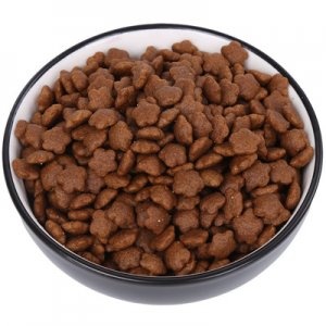 金毛寵物食品泰迪比熊拉布拉多狗糧