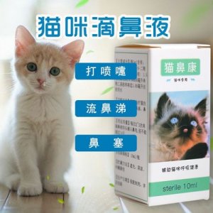 貓流鼻涕貓鼻支滴鼻液