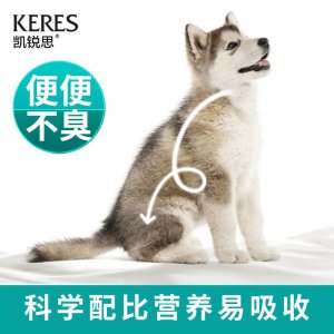 凱銳思全犬中通用型10kg