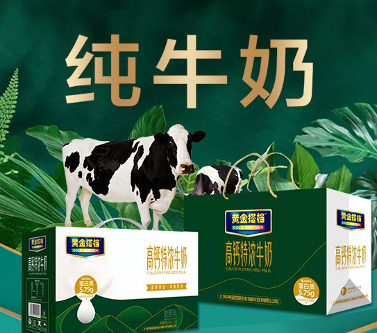 黃金搭檔純牛奶.png