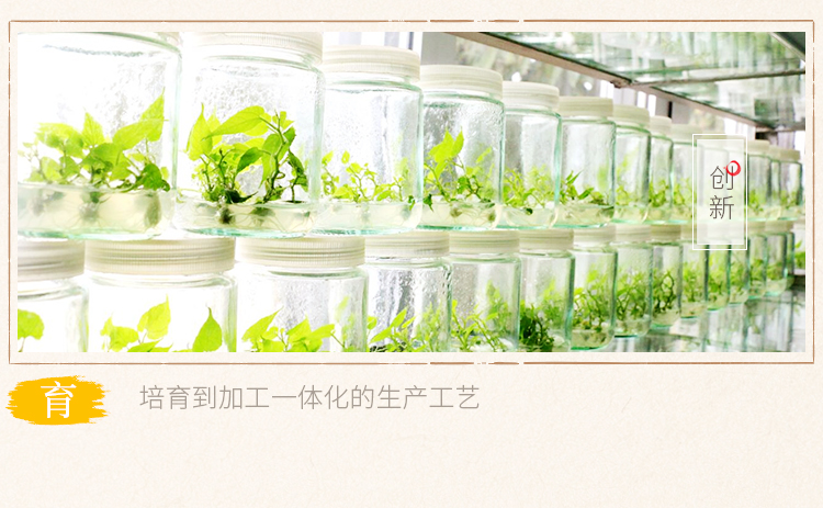 羅漢果粒粒茶18條_06.jpg