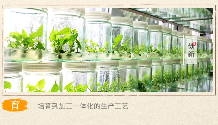 茶膏12片_06.jpg