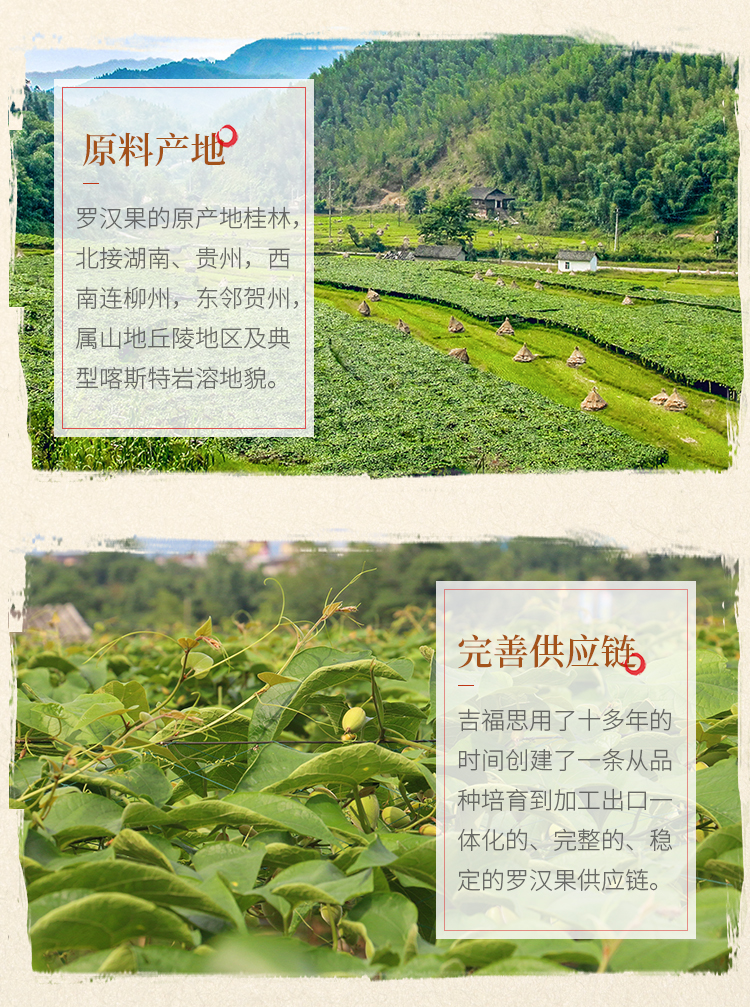 茶膏12片_07.jpg