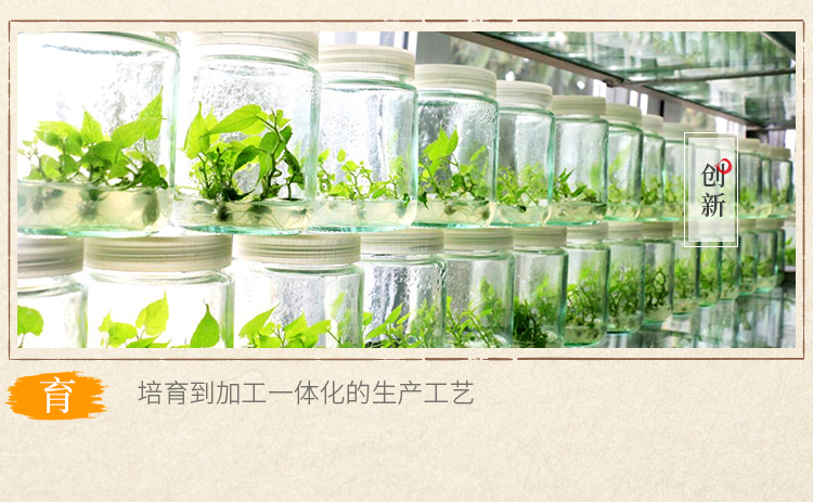 原味+茶膏2片_06.jpg