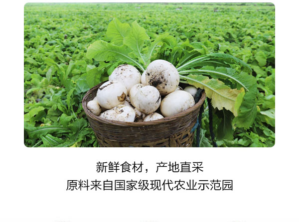 老母水泡蘿卜簡(jiǎn)介_05.jpg