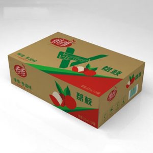 維維荔枝味汽水（箱裝）