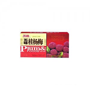 正迅五味桂楊梅