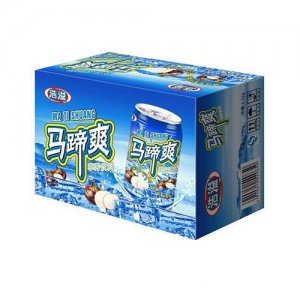 浩溢馬蹄爽荸薺飲料310mlx12罐