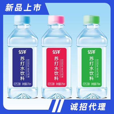 弘洋果味蘇打375ml