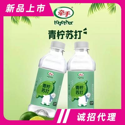 牽手青檸味蘇打水飲料385ml