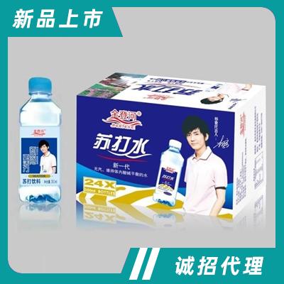 金登河無糖無氣蘇打水