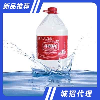 華陽龍天然礦泉水5L