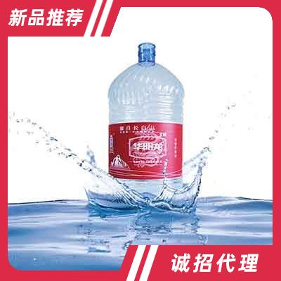 華陽龍天然礦泉水15L