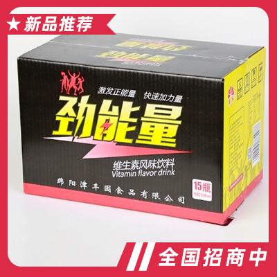 勁能量維生素風味飲料500mlX15瓶