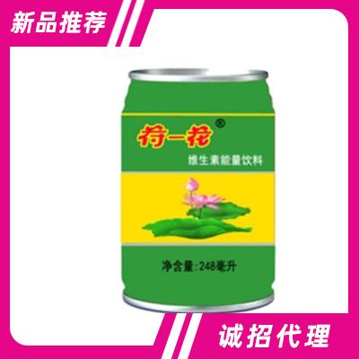 荷花維生素運動飲料箱裝248毫升