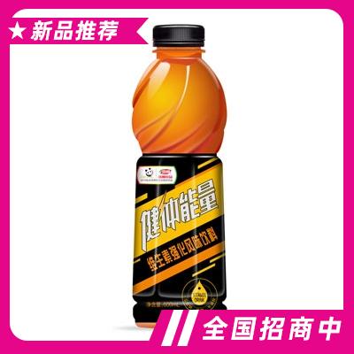 健體能量維生素強化風味飲料600ml