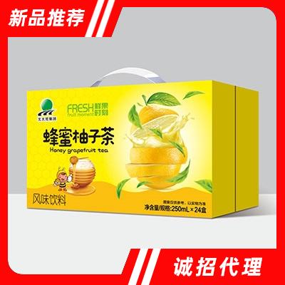 北大荒鮮果時刻蜂蜜柚子茶飲料250mlx24盒