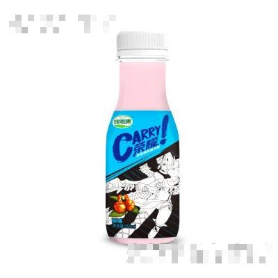 綠思康carry榮耀瓜拉納風味飲料原味