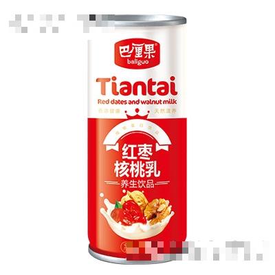 巴厘果紅棗核桃乳20罐大包裝罐子