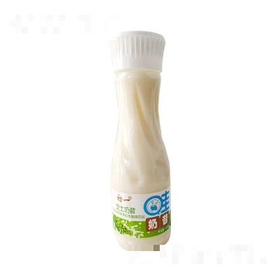 初一芝士奶昔青提味椰果果粒乳酸菌飲品420ml