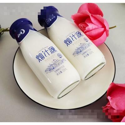燦汁源發酵酸奶飲品320ml（瓶）