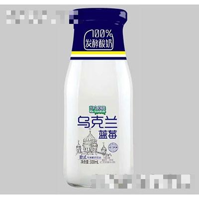 薩卡烏克蘭藍莓酸奶300ml