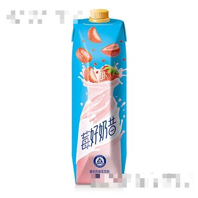嗒詩咪莓好奶昔1L