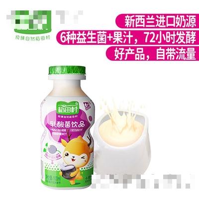 稻田村乳酸菌飲料黑加侖味100ml