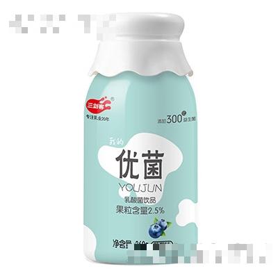 三劍客優菌乳酸菌藍莓味360g