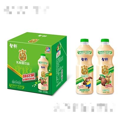 熊出沒乳酸菌飲料1.25Lx6瓶