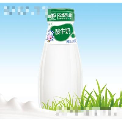 石埠酸牛奶（瓶）