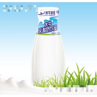 石埠水牛乳酸奶飲品