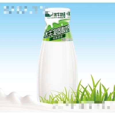 石埠水牛凝固酸奶