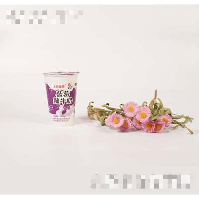 壹鵬藍莓酸奶杯180g