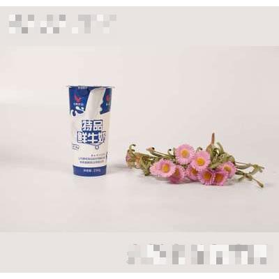壹鵬特品鮮牛奶250g