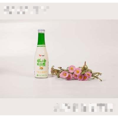 壹鵬威海印象芝士酸奶225g