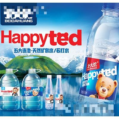 北大荒飲用天然礦泉水飲品